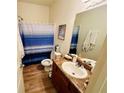 Cozy bathroom featuring a shower with a blue-striped curtain, wood-look floors and a vanity at 24 Samuel Nw Way, Cartersville, GA 30121