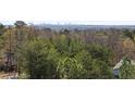 Expansive green landscape with mature trees and a glimpse of the city skyline in the distance at 4100 Paces Se Walk # 4306, Atlanta, GA 30339