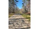 Long driveway through a tree-lined path, creating a sense of privacy at 7180 Westray Rd, Cumming, GA 30028