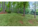 Expansive backyard with lush green grass, mature trees, and a serene, private setting at 607 Hickory Creek Ln, Woodstock, GA 30188