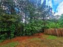 Spacious backyard bordered by tall trees, offering privacy and a tranquil outdoor space at 1529 Iris Walk, Jonesboro, GA 30238