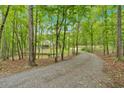 Scenic view of a gravel driveway winding through a lush, green forest leading up to the home at 4332 Brushy Mountain Rd, Rockmart, GA 30153