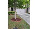 Landscaped front yard with a tree surrounded by mulch and a concrete driveway at 7848 Rock Rose Ln, Fairburn, GA 30213