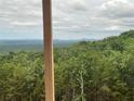 Beautiful distant mountain view, seen through the trees, provides a serene backdrop at 235 Laurel Vista Dr, Canton, GA 30114