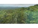 Lush forest views showcase the natural beauty surrounding this homesite at 235 Laurel Vista Dr, Canton, GA 30114