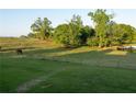 Spacious pasture, ideal for equestrian activities or livestock grazing, with mature trees adding beauty at 4076 Airline, Mcdonough, GA 30252