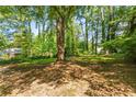 Image shows a large, grassy backyard with mature trees at 271 Leafwood Ln, Riverdale, GA 30274