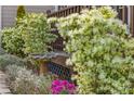Lush landscaping featuring blooming bushes and a decorative birdbath, enhancing the garden's serene atmosphere at 10090 Feather Sound Ct, Alpharetta, GA 30022