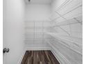 Walk-in pantry features sturdy, multi-tiered wire shelving, maximizing storage space in the kitchen area at 3311 Burkston Pl, Buford, GA 30519
