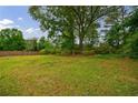 Expansive grassy backyard offering plenty of room for outdoor activities and recreation under a bright, sunny sky at 3909 Ebenezer Rd, Marietta, GA 30066