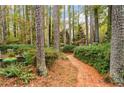 Scenic backyard view with brick pathway winding through mature trees and lush greenery, creating a peaceful retreat at 769 Hampton Sw Pl, Marietta, GA 30064