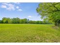 Expansive green field under a blue sky, perfect for recreation or enjoying the natural surroundings at 173 Price Rd, Brooks, GA 30205