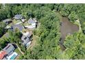 Aerial view of the home's location, surrounded by lush greenery and a peaceful lake at 225 Blueberry Rdg, Milton, GA 30075