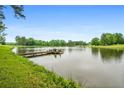 Picturesque view of a serene pond with a charming dock, set against a backdrop of lush greenery and blue skies at 1415 N Flat Rock Rd, Douglasville, GA 30134
