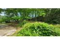 A serene backyard with lush greenery, mature trees, and a fence, providing a private and peaceful outdoor space at 2886 The Fontainebleau Sw, Atlanta, GA 30331