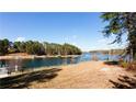 Scenic view of the lake with trees and a grassy area in the foreground at 6348 Lanier Harbor Lndg, Buford, GA 30518