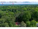An aerial shot of lush trees near the home, showing the proximity to Truist Park and Atlanta at 2674 Skylane Dr, Marietta, GA 30062