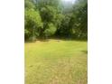 Large grassy backyard with mature trees and an open space great for recreation at 497 Natasha Dr, Auburn, GA 30011