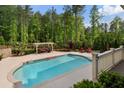 Inviting in-ground pool with an adjacent lounge area, perfect for relaxation and entertaining at 3024 Malbec Vly, Acworth, GA 30101