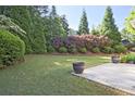A lush backyard featuring a well-manicured lawn and beautiful landscaping with evergreen trees at 12955 Mariners Ct, Alpharetta, GA 30005
