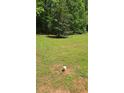 Expansive backyard featuring a lush green lawn and mature trees at 65 King James Se Ct, Conyers, GA 30013