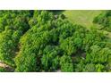 An aerial view of a hidden house surrounded by dense, mature trees on all sides at 4250 Deerfield Rd, Cumming, GA 30028