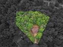 Aerial view of a home nestled among lush green trees, offering privacy and a serene setting at 445 Royal St, Mcdonough, GA 30253