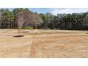Expansive backyard with ample space for outdoor activities and landscaping opportunities at 3154 Rosebud Rd, Loganville, GA 30052