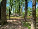 Secluded backyard with mature trees and lush greenery, providing a peaceful retreat at 7160 Royston Way, Cumming, GA 30028