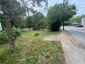 Picture of grassy front yard along the road at 1889 Browns Mill Se Rd, Atlanta, GA 30315