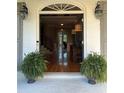 Inviting entryway with a decorative doorway, hardwood floors, and plants on either side at 139 Grandmar Chase, Canton, GA 30115