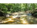 Scenic creek view with natural rock formations and lush greenery along the banks, creating a serene outdoor setting at 1216 Oleander Sw Dr, Lilburn, GA 30047