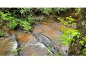 A peaceful, natural stream flowing through the backyard at 7511 Biltmore Ln, Douglasville, GA 30135