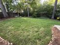 Spacious backyard featuring lush green grass, mature trees, and a private fenced perimeter at 1160 Haven Brook Ne Way, Brookhaven, GA 30319