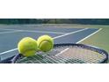 Tennis balls rest on a tennis racket against the backdrop of a well-maintained tennis court, ready for a match at 1316 Village Brook Drive, Dacula, GA 30019