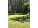 An expanse of grass lies under a canopy of trees creating a serene and natural environment at 75 Oak Hill Dr, Covington, GA 30016