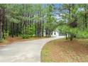 Long driveway leading to a charming home surrounded by lush trees and greenery at 110 Beaver Pointe, Villa Rica, GA 30180