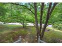 Landscaped front yard with mature tree, green lawn and stone walkway at 191 White Oak Church Rd, Dallas, GA 30157