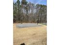 Image of a community basketball court with netting and mature trees in the background at 748 Great Oak Pl, Villa Rica, GA 30180