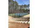 View of the community tennis court surrounded by a tall fence and trees at 748 Great Oak Pl, Villa Rica, GA 30180