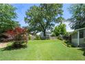 Expansive backyard with a large tree, well-maintained lawn, and a view of the surrounding landscape at 503 Bonnie Dr, Woodstock, GA 30188