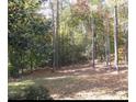 Leafy backyard with view of mature trees and a carpet of autumn leaves at 3643 Fowler Rdg, Douglasville, GA 30135