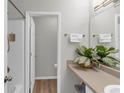 A neutral bathroom featuring a sink, countertop, mirror, towel rack, and a doorway to the shower at 6820 Gallant Se Cir # 2, Mableton, GA 30126