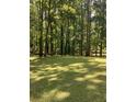A spacious, well-maintained backyard with lush green grass and mature trees, creating a serene outdoor space at 9278 Seminole Rd, Jonesboro, GA 30236