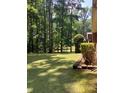 A spacious, well-maintained backyard with lush green grass and mature trees at 9278 Seminole Rd, Jonesboro, GA 30236