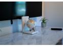 Decorated marble table with globe and modern accents at 3273 Elm St, Atlanta, GA 30337