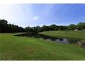 Scenic community pond surrounded by lush green landscaping, offering a peaceful view at 1365 Juniper Springs Trl, Loganville, GA 30052