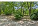 View of the yard with ample trees and ground cover at 4202 Maplewood Dr, Decatur, GA 30035