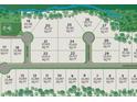 Community plot map showcasing various lot sizes and placements within the neighborhood at 3470 Austin Michael Ln, Cumming, GA 30028