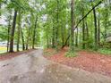 Tree-lined driveway leading to a private, wooded property at 3205 Brandywine Nw Pl, Marietta, GA 30064